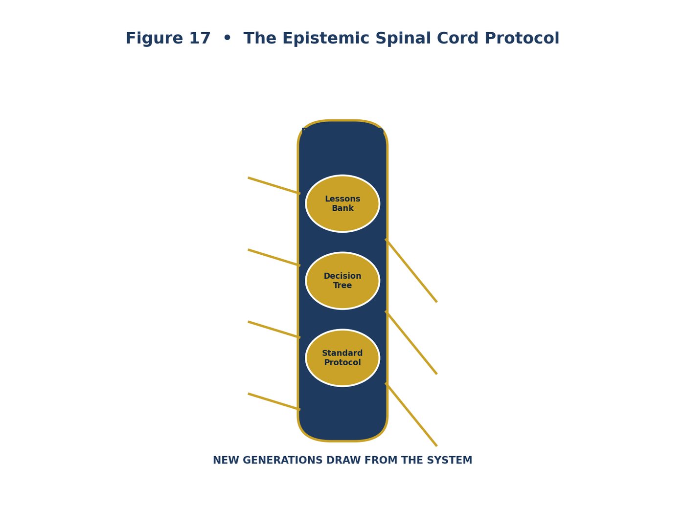 Knowledge Spinal Cord